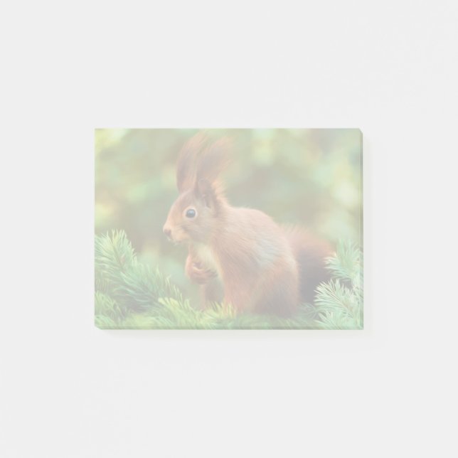 Notas Post-it® Ardilla en un árbol (Anverso)