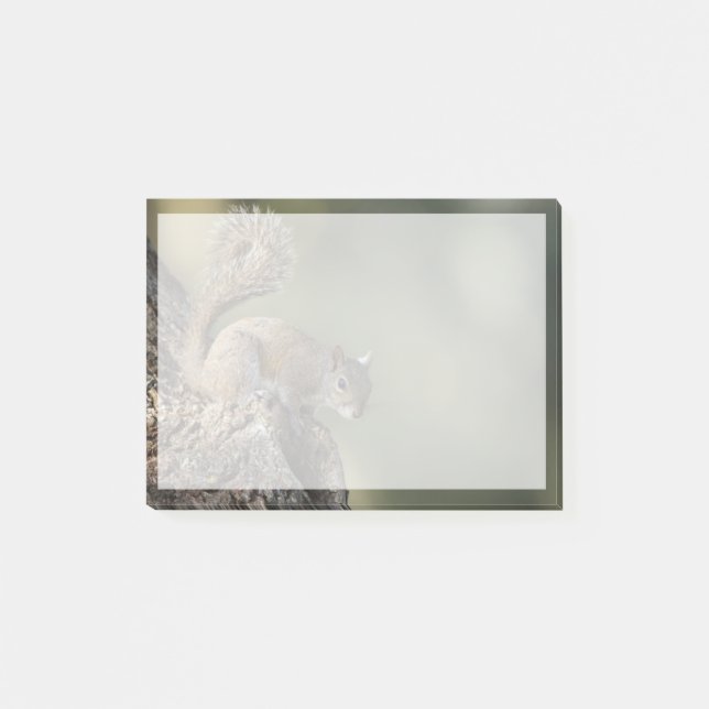Notas Post-it® ardilla gris oriental o ardilla gris (Anverso)