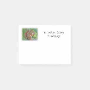 Notas Post-it® Ardilla roja