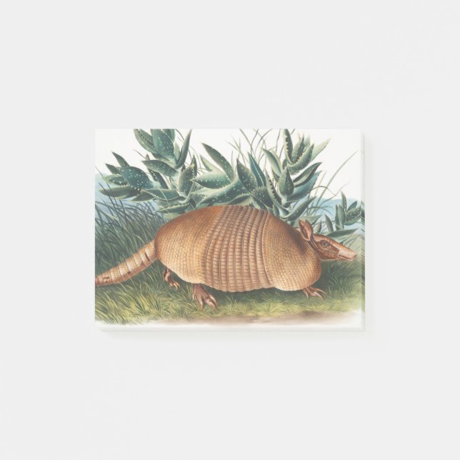 Notas Post-it® Armadillo dorado beige de nueve bandas (Anverso)