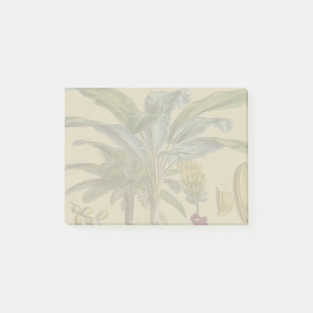 Notas Post-it® Arte botánico de frutas tropicales palmo antiguo (Anverso)