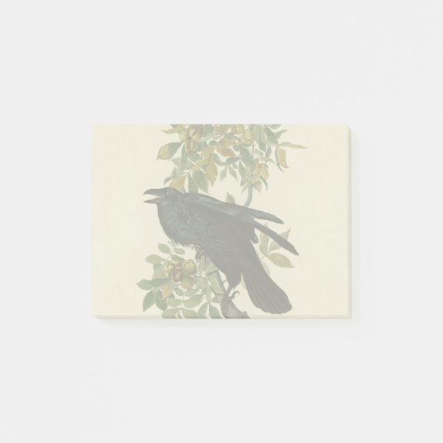 Notas Post-it® Arte clásico Audubon Raven (Anverso)