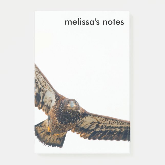 Notas Post-it® Asombroso águila calva viaja (Anverso)