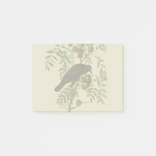 Notas Post-it® Audubon American Crow Black Bird (Anverso)
