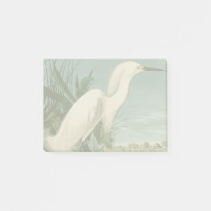 Notas Post-it® Audubon Snowy Heron White Egret Bird Birding