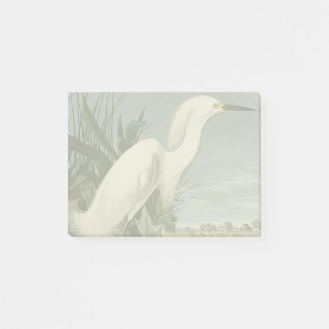 Notas Post-it® Audubon Snowy Heron White Egret Bird Birding (Anverso)