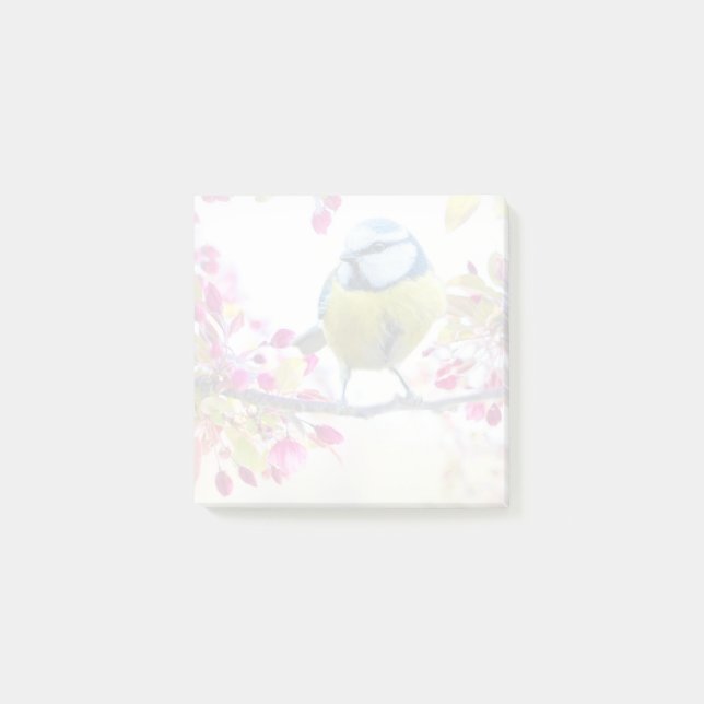 Notas Post-it® Ave azul y amarillo bonito en una foto de una sucu (Anverso)