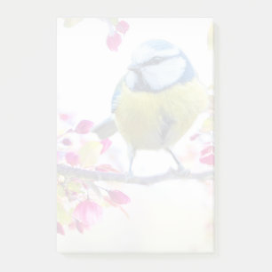 Notas Post-it® Ave azul y amarillo bonito en una foto de una sucu