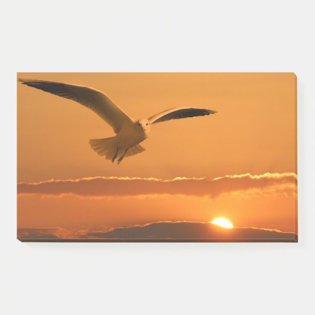 Notas Post-it® Ave Volando Al Atardecer (Anverso)