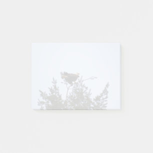 Notas Post-it® Bald Eagle