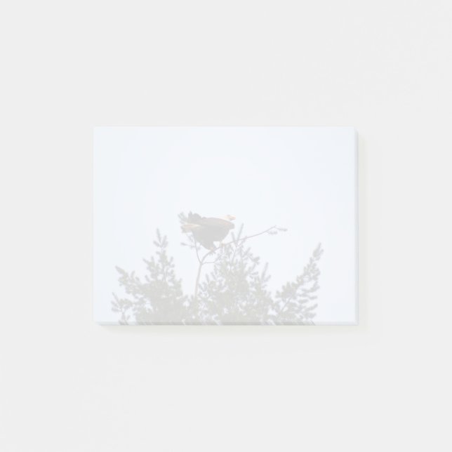 Notas Post-it® Bald Eagle (Anverso)