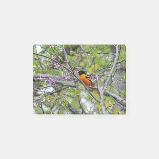 Notas Post-it® Baltimore Oriole (Anverso)
