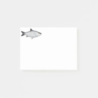 Notas Post-it® Barbo aceitunado