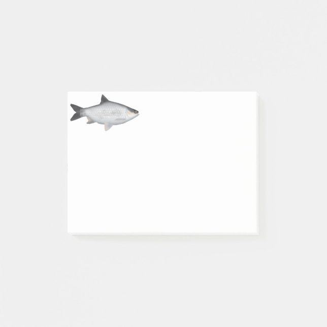 Notas Post-it® Barbo aceitunado (Anverso)