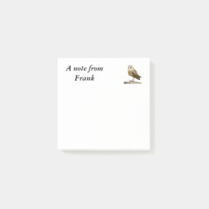 Notas Post-it® Barn Owl