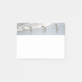 Notas Post-it® Beach Birds in the Surf 4x6 Notes