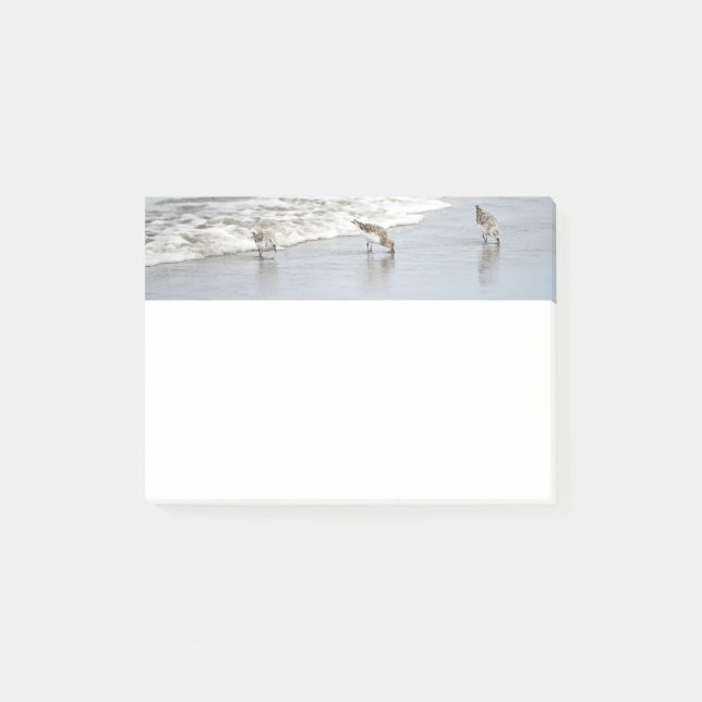 Notas Post-it® Beach Birds in the Surf 4x6 Notes (Anverso)
