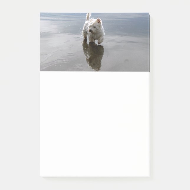 Notas Post-it® Beach Westie Reflection Stationery Post-it Notes (Anverso)