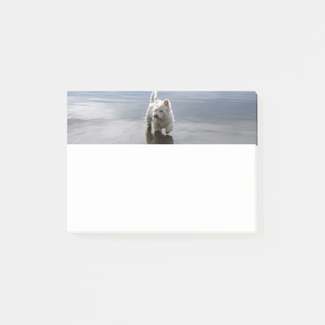 Notas Post-it® Beach Westie Reflection Stationery Post-it Notes (Anverso)