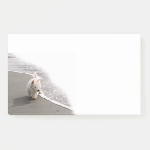 Notas Post-it® Beachcombing Westie Photo 10x6 Post-it Notes