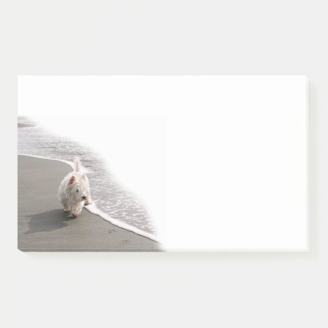 Notas Post-it® Beachcombing Westie Photo 10x6 Post-it Notes (Anverso)
