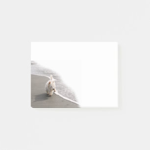 Notas Post-it® Beachcombing Westie Photo 4x3 Notes