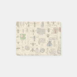Notas Post-it® Bee Insect Bug Wasp Naturaleza Abejas Pintura