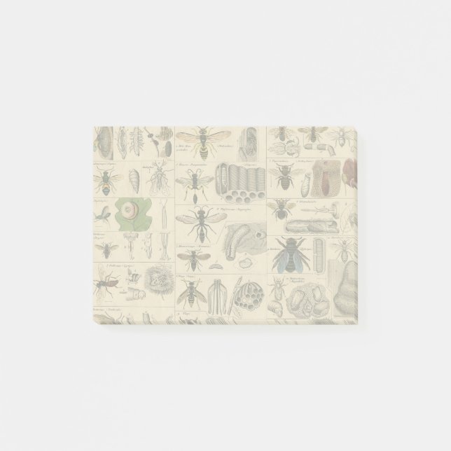 Notas Post-it® Bee Insect Bug Wasp Naturaleza Abejas Pintura (Anverso)