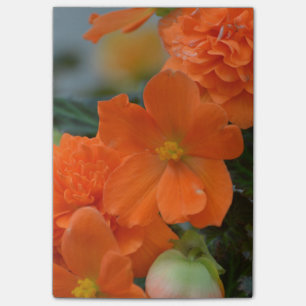 Notas Post-it® Begonias anaranjadas