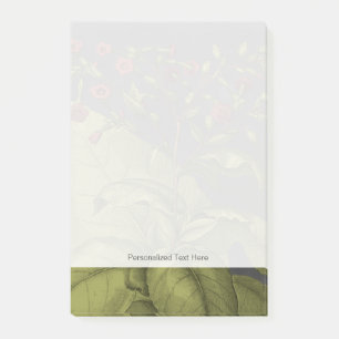 Notas Post-it® Besler Dramatique I