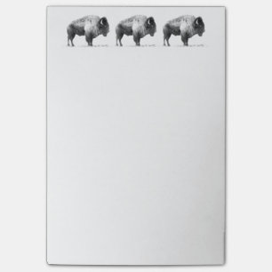 Notas Post-it® Bisonte americano