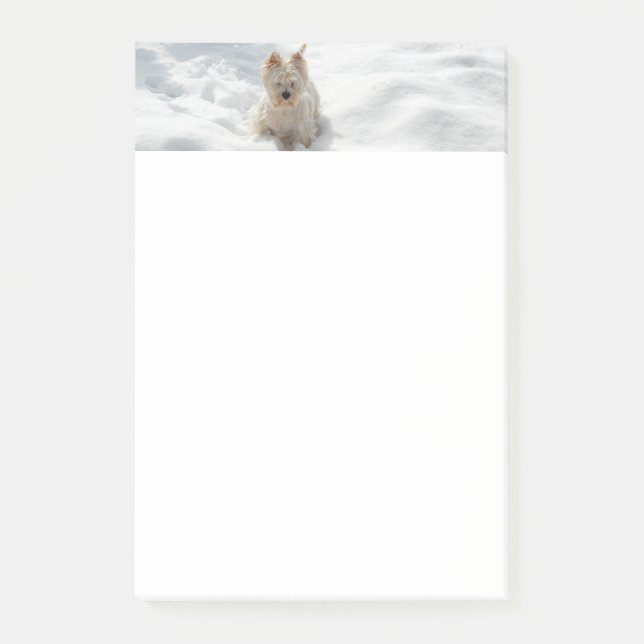 Notas Post-it® Blanquecino Fotografía de Perro Occidente de Nieve (Anverso)