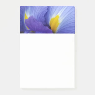 Notas Post-it® Blue Iris Flower 4x6 Post-It Notes