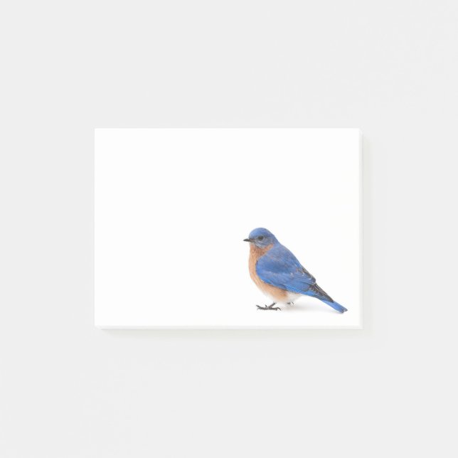 Notas Post-it® Bluebird (Anverso)