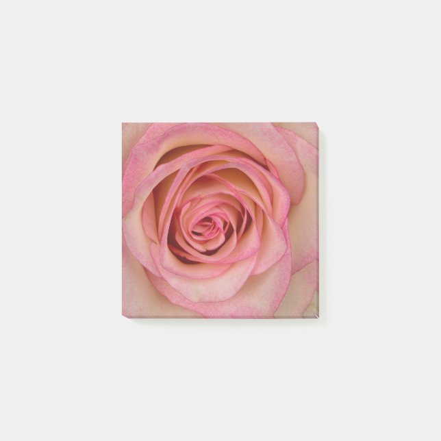 Notas Post-it® Blume rosado Rosa (Anverso)