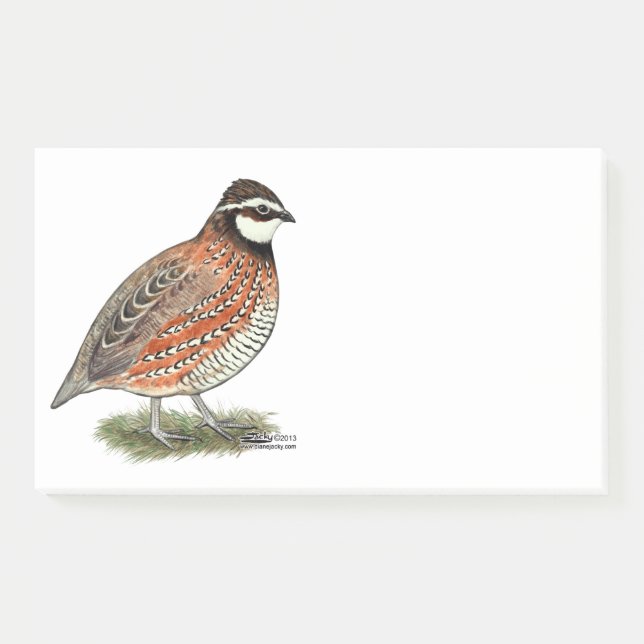 Notas Post-it® Bobwhite Quail Rooster (Anverso)
