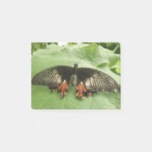 Notas Post-it® Bonito Black Red and Gold Butfly Post anota
