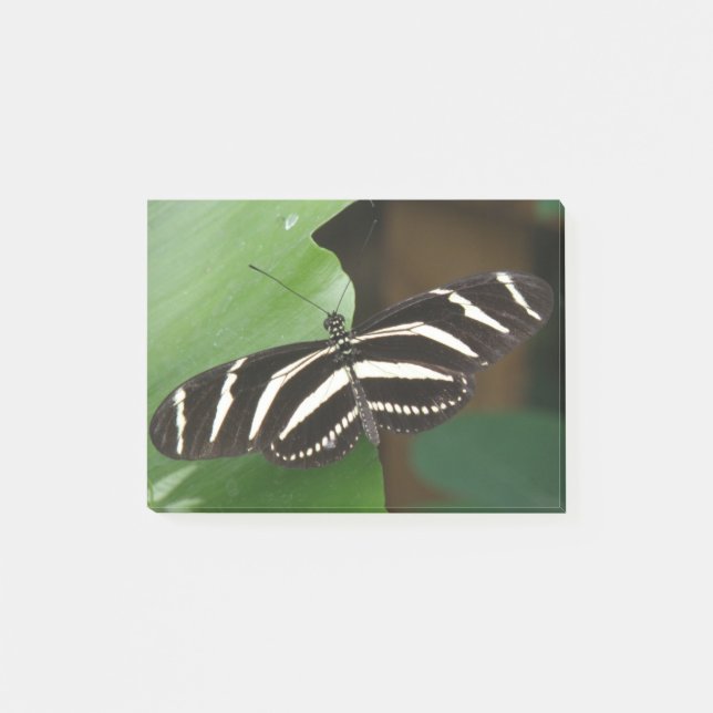 Notas Post-it® Bonito Zebra Longwing Butfly Post anota (Anverso)