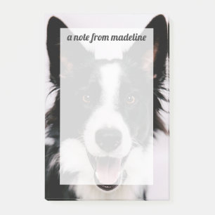 Notas Post-it® Border collie sonriente de las imágenes el A de