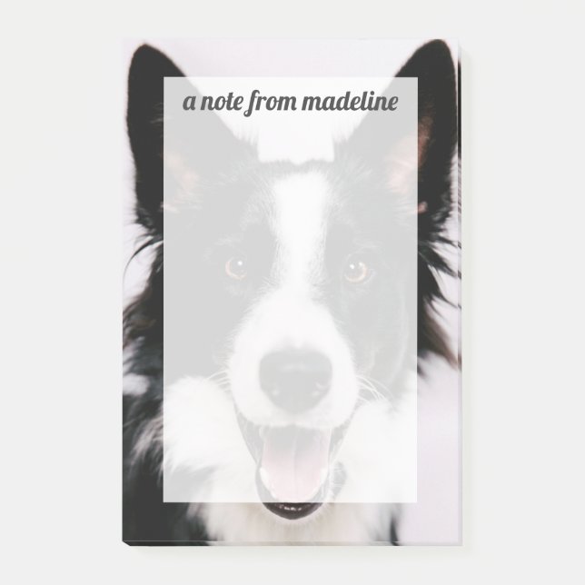 Notas Post-it® Border collie sonriente de las imágenes el | A de (Anverso)