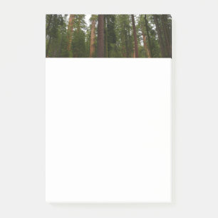 Notas Post-it® Bosque Mariposa en el Parque Nacional Yosemite