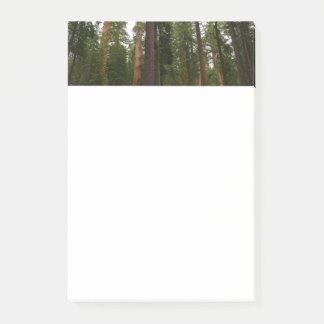 Notas Post-it® Bosque Mariposa en el Parque Nacional Yosemite