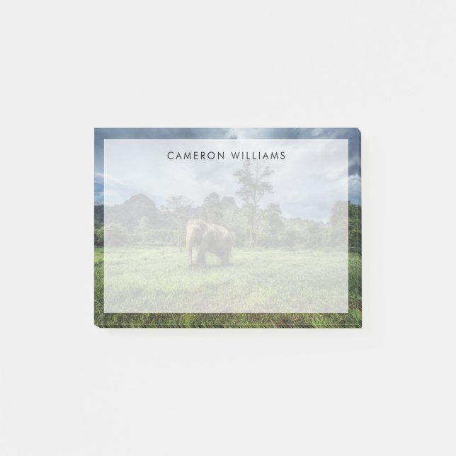 Notas Post-it® Bosques | Parque nacional Kao Sok (Anverso)