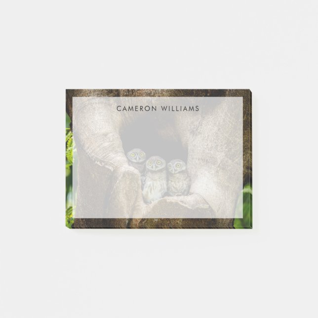 Notas Post-it® Bosques | Tres lechuzas con aspecto (Anverso)