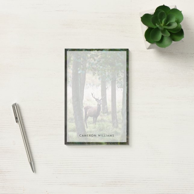 Notas Post-it® Bosques | Woodlands & Red Deer (Oficina)
