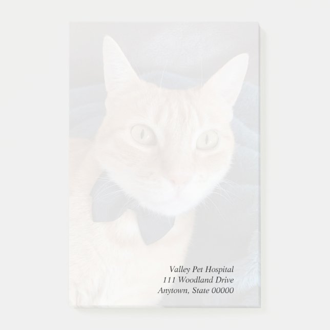 Notas Post-it® Bow tie cat (Anverso)