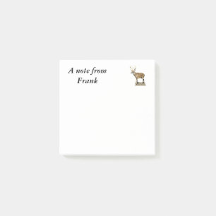 Notas Post-it® Buck