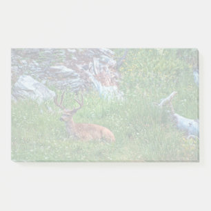 Notas Post-it® Buck de cama