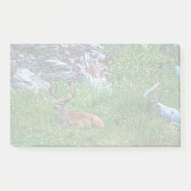 Notas Post-it® Buck de cama (Anverso)