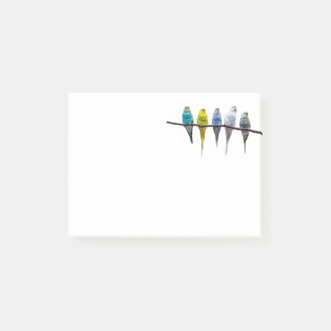 Notas Post-it® Budgies (Anverso)